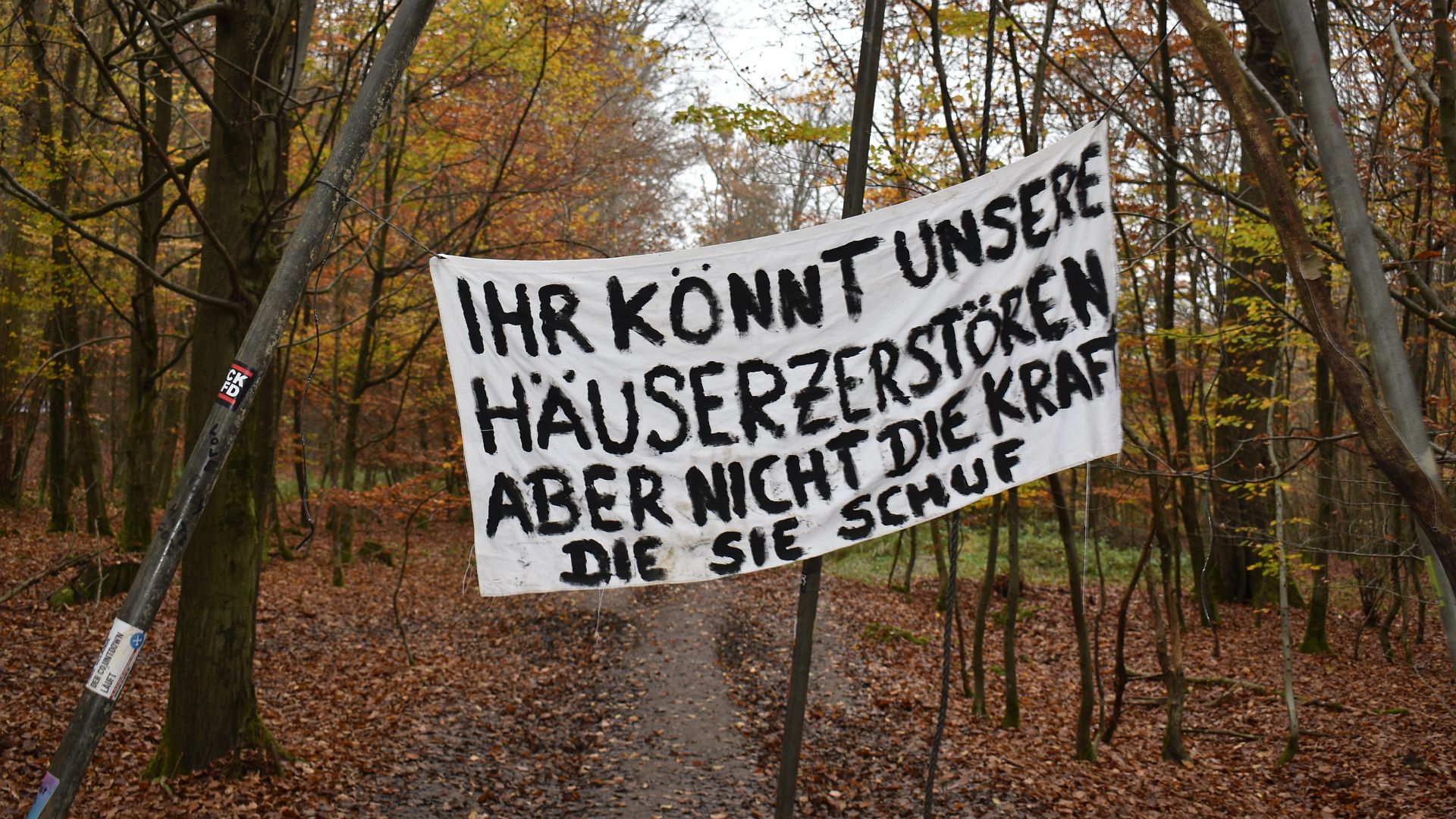 10.11.2020: Tag X im Danni (Dannenröder Wald)