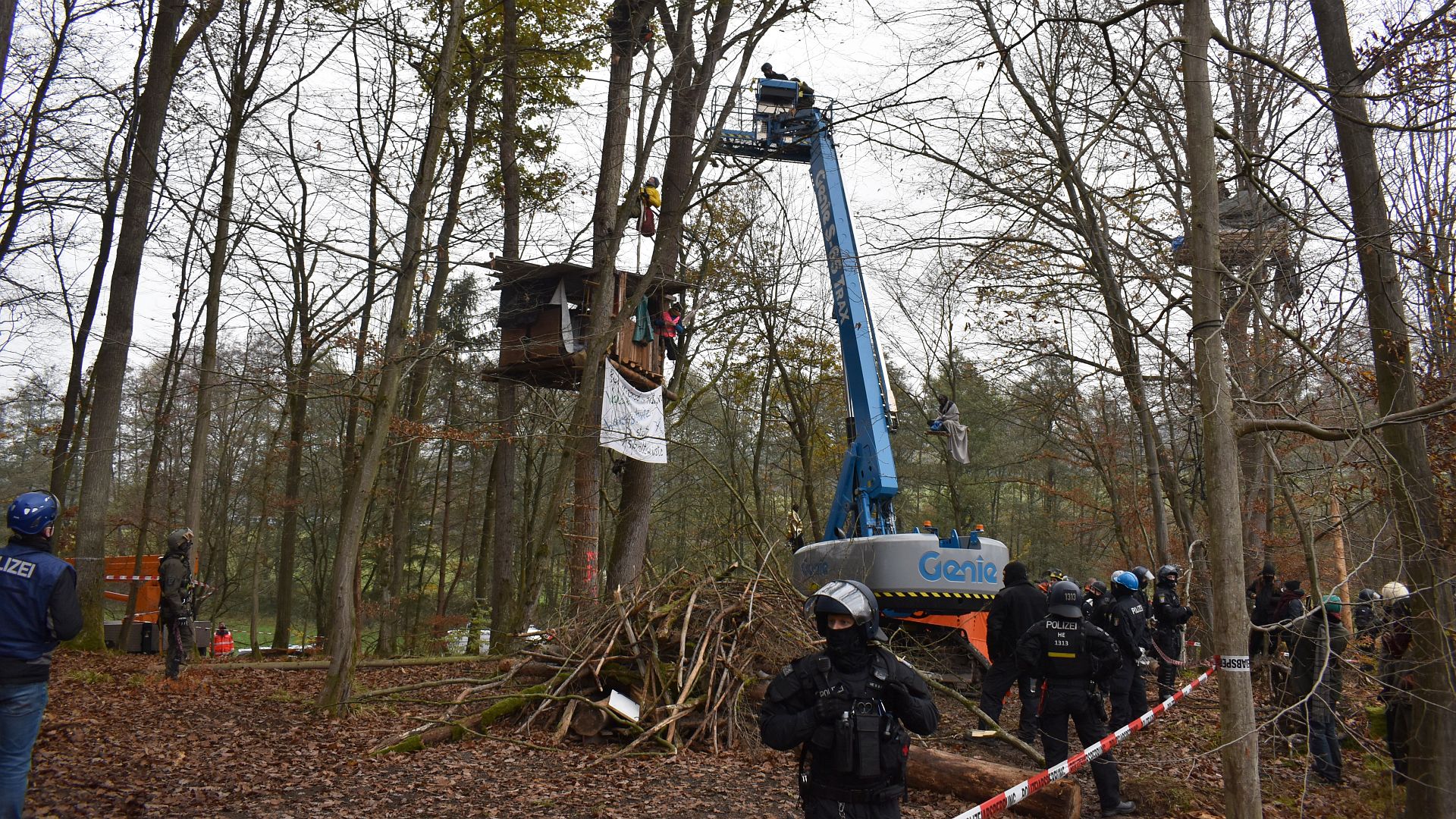 10.11.2020: Tag X im Danni (Dannenröder Wald)